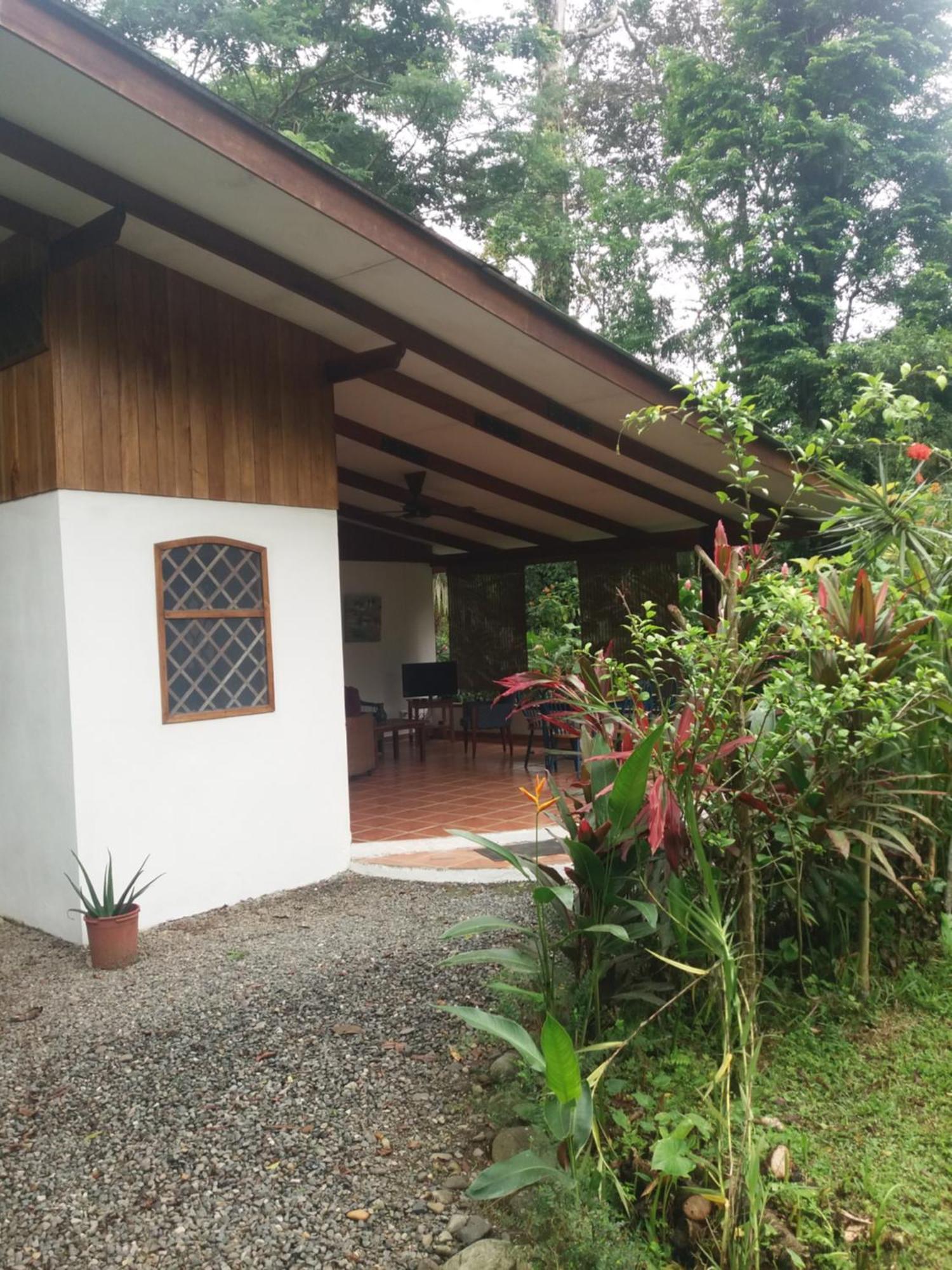 Los Delfines Lodge Puerto Viejo de Talamanca المظهر الخارجي الصورة